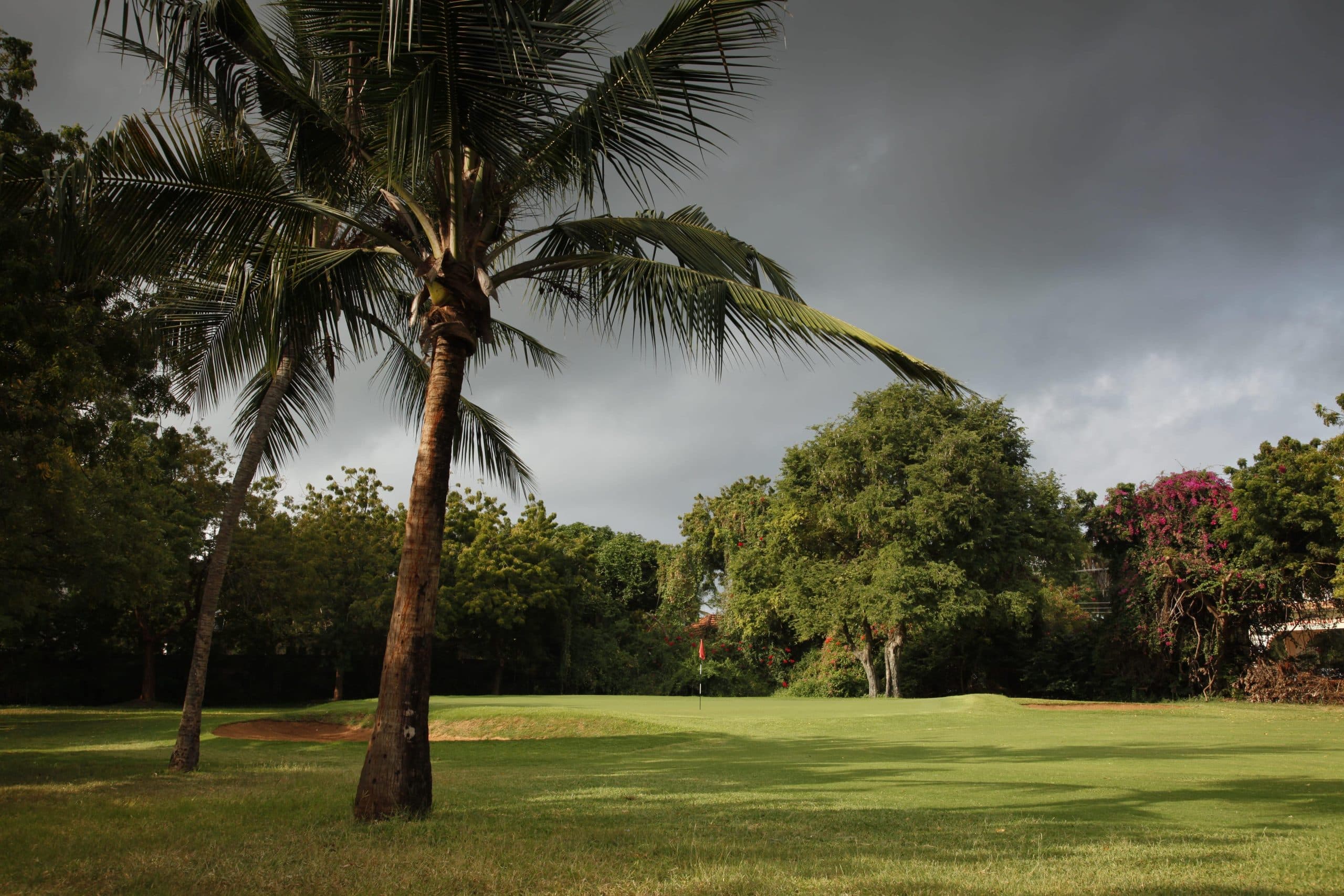 Flame tree-lined fairway