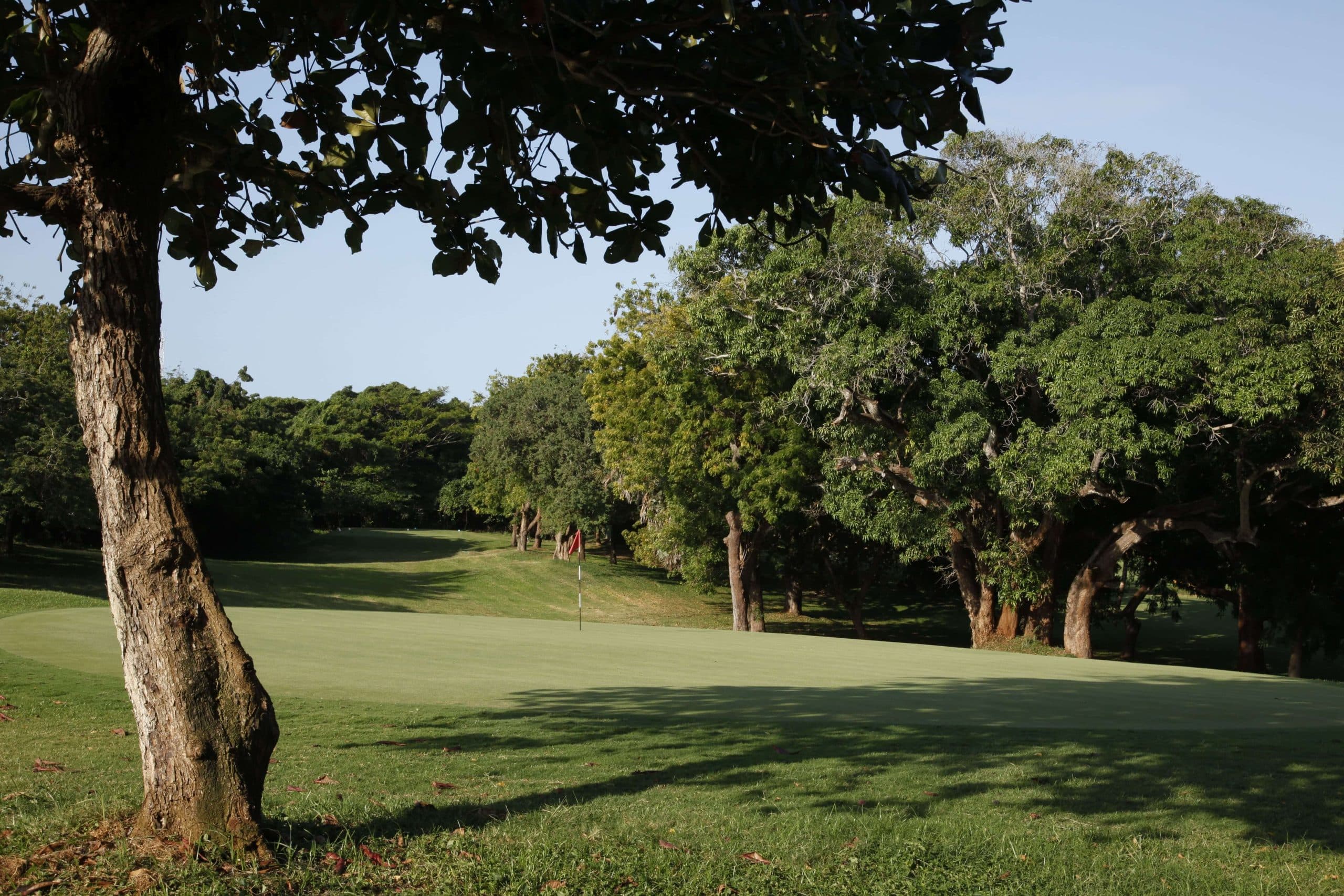 1st hole tee box with morning light