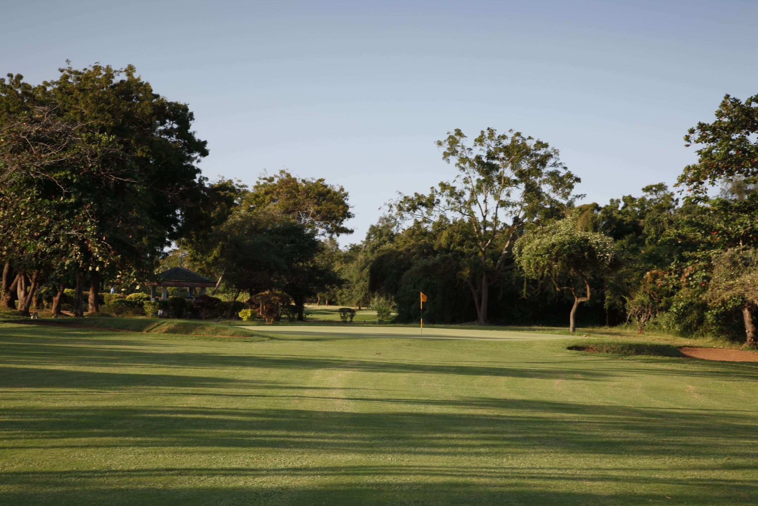 Tree-lined fairway at sunset