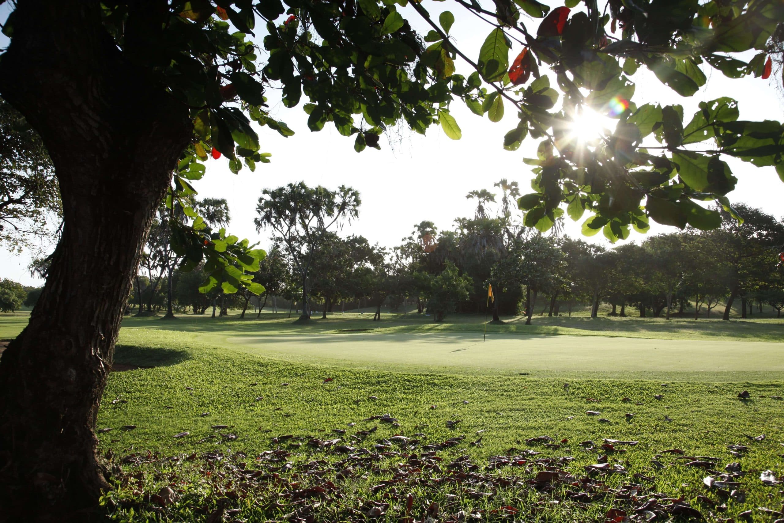 Tropical landscape along the back nine