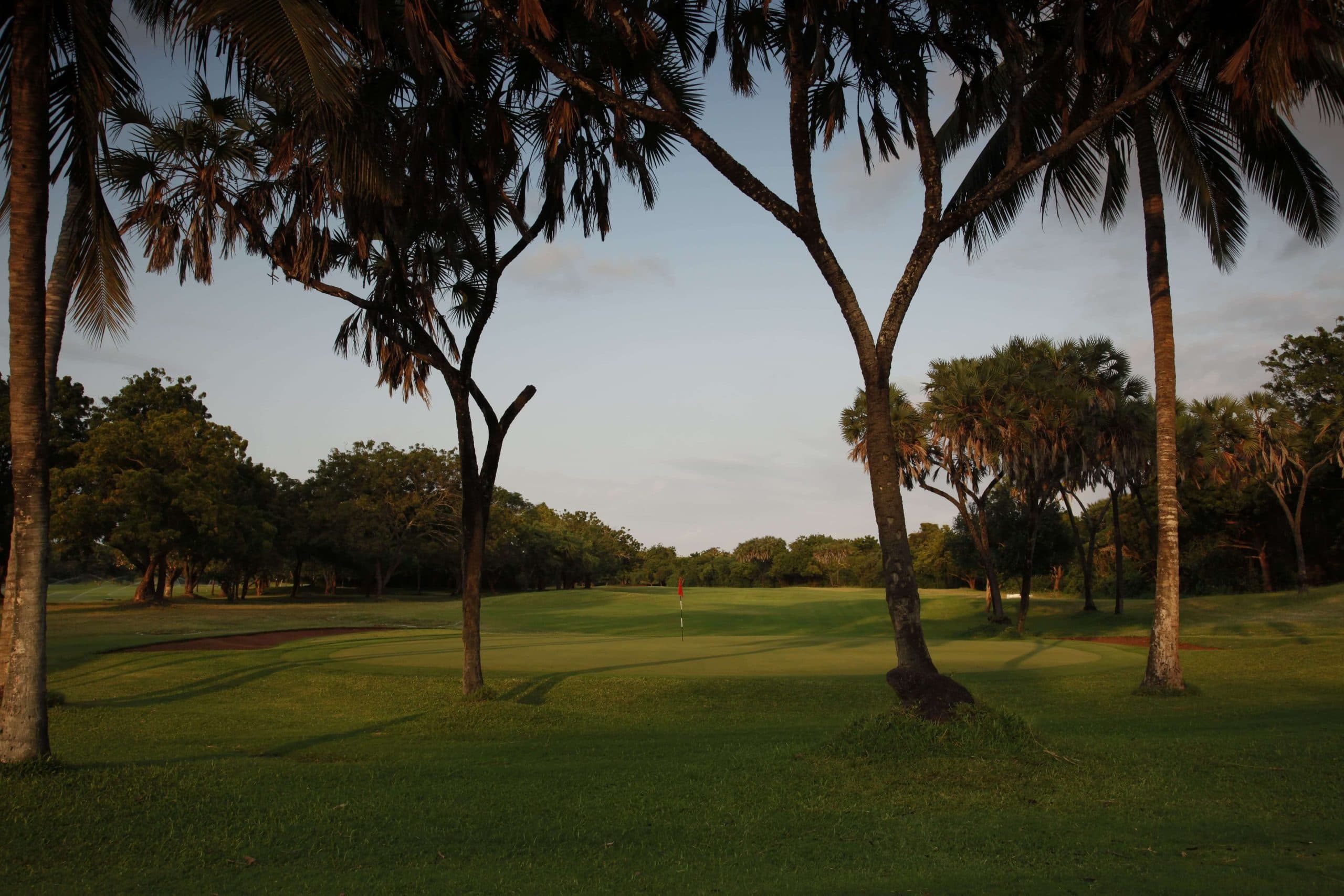 Dogleg fairway through the trees