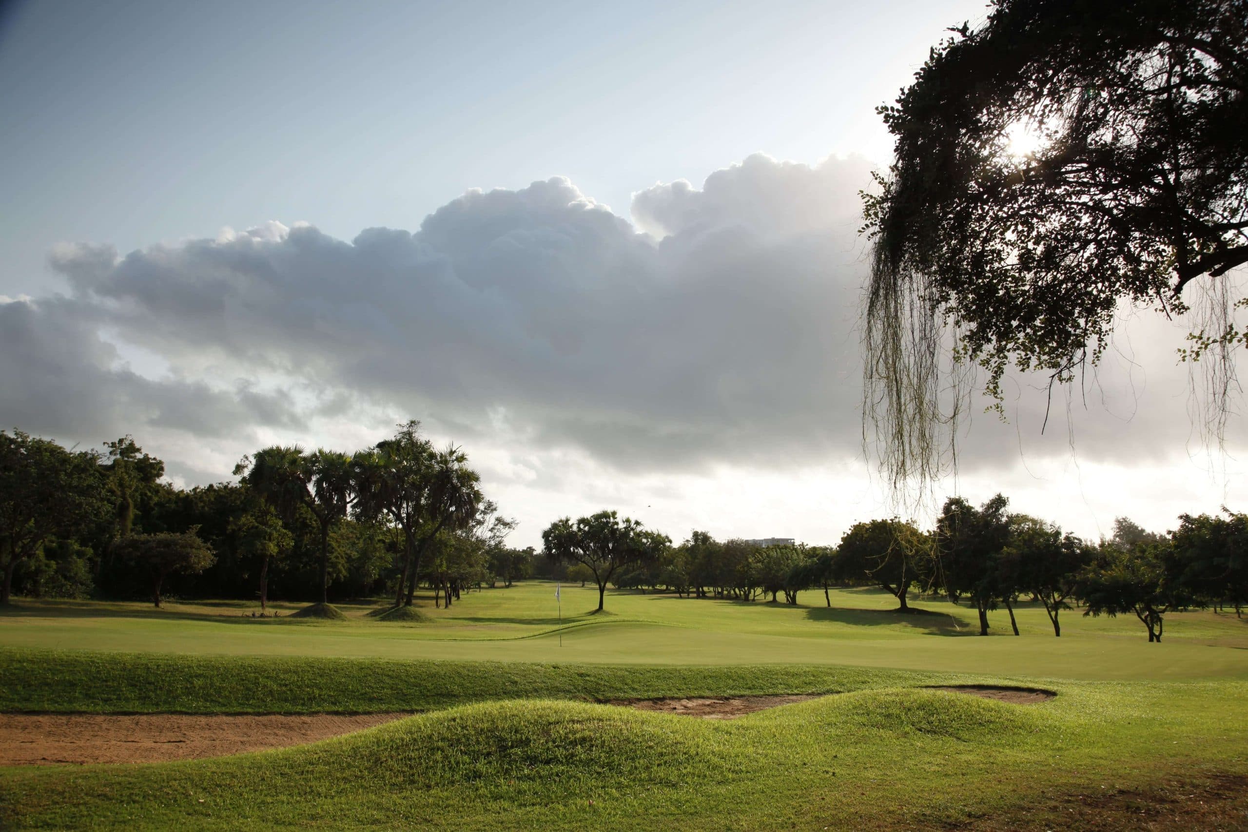Signature hole with palm trees
