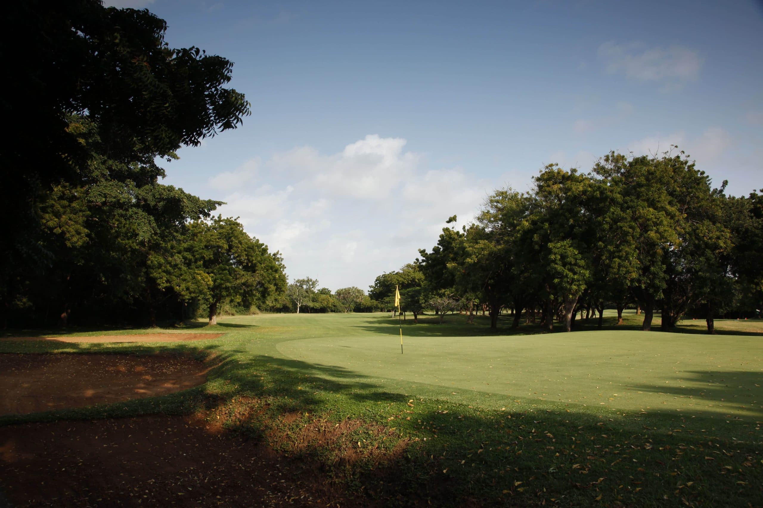 Dense tropical greenery framing the fairway